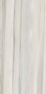 Marmoker Zebrino Lucido 60x120
