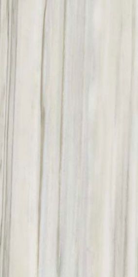 Marmoker Zebrino Lucido 60x120