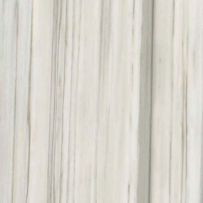 Marmoker Zebrino Lucido 60x60
