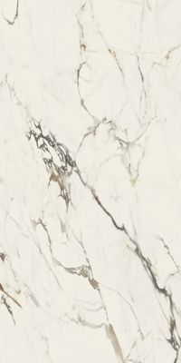 Marmora Lunense Lucido 9mm 60x120