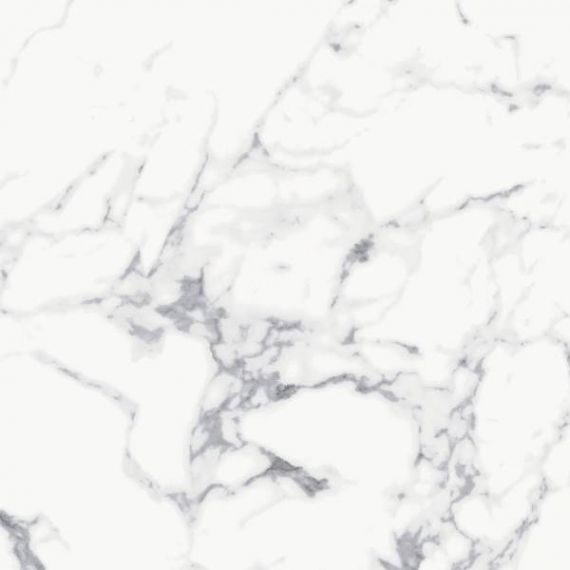 Marshy White 60*60