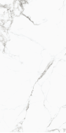 Marshy White Glossy 60*120
