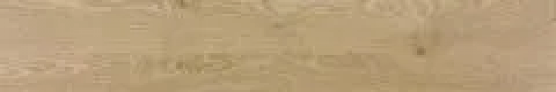 Masif Oak Rectified 19,2x120