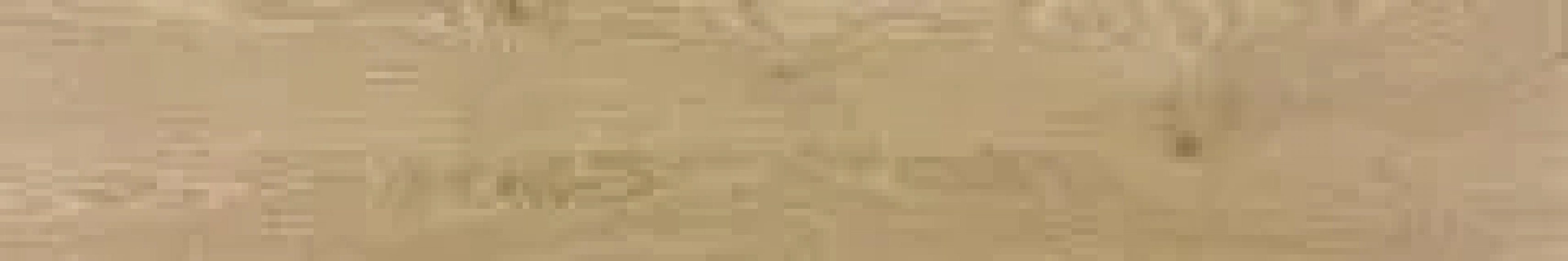 Masif Oak Rectified 19,2x120