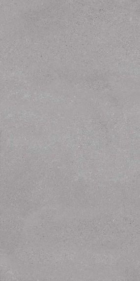 Massive Grey Stone (Shapetouch) 60x120