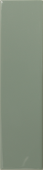 Match Sage Gloss 6.25х25