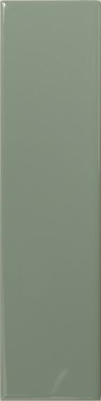 Match Sage Gloss 6.25х25