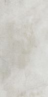 Maxstone Silver Mat 60x120