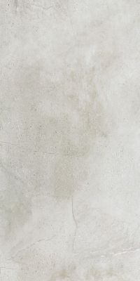 Maxstone Silver Mat 60x120