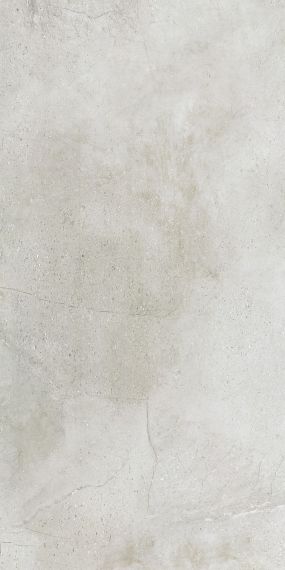 Maxstone Silver Mat 60x120