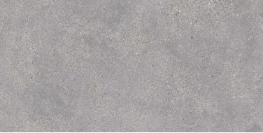 Memory Gris Matt 60x120