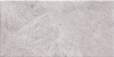 Menfis Grey 10x20