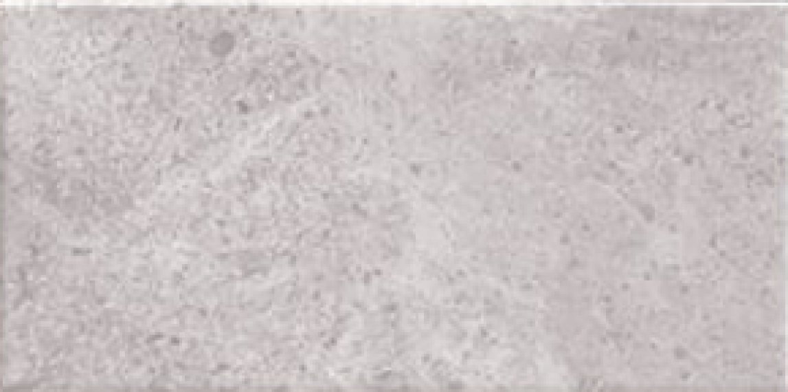 Menfis Grey 10x20