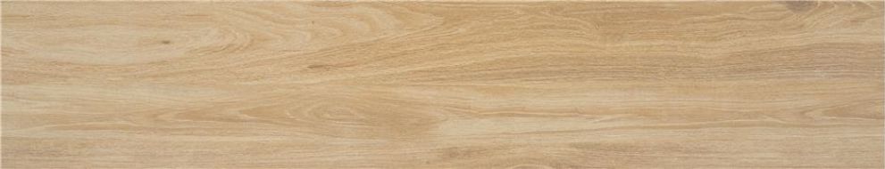Meriadoc Haya 23*120