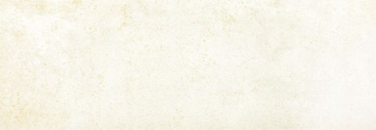 Metallic Platinum Matt Ret 35x100