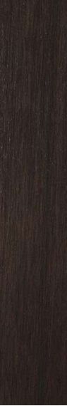 Metalwood Bronzo Naturale 10x60