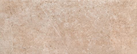 Meteor Brown 29.8х74.8