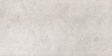 Meteor Grey 29.8x59.8