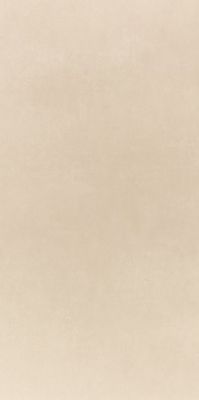 Micron 2.0 12AL 60x120