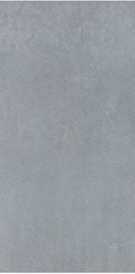 Micron 2.0 12G 60x120