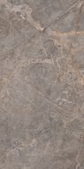 Miltonia Grey 60x120