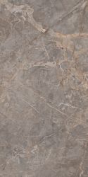 Miltonia Grey 60x120