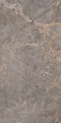 Miltonia Grey 60x120