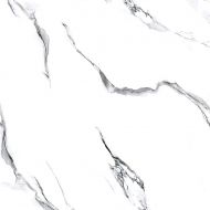 Molly white 60x60