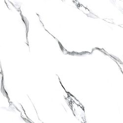Molly white 60x60