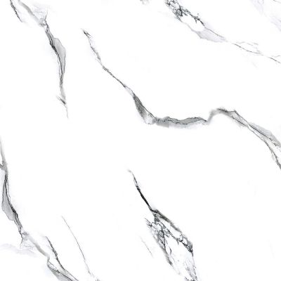 Molly white 60x60