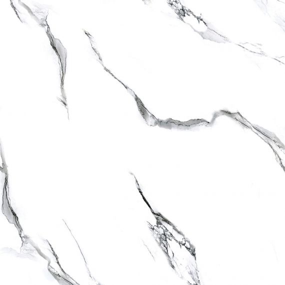 Molly white 60x60