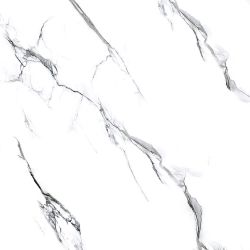 Molly white str 60x60