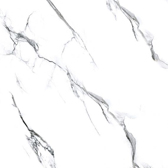 Molly white str 60x60