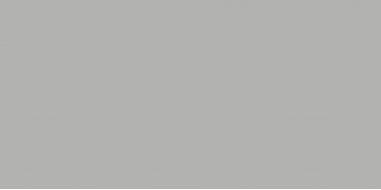 Mono Grey Matt 3200х1600х12