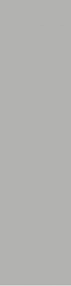 Mono Grey Matt 800х3200х12