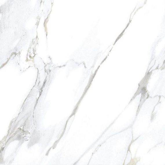 Monster White 60x60