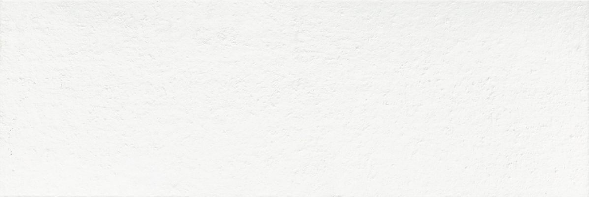 Mont Blanc Stein 30x90