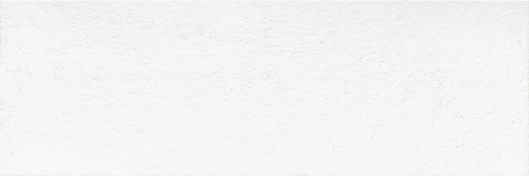 Mont Blanc Stein 30x90
