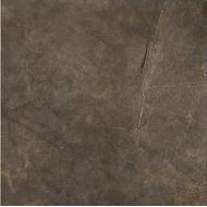 Montecoto Marron brillo 60,8x60,8