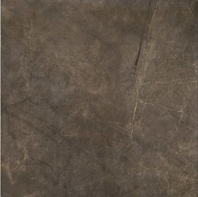Montecoto Marron brillo 60,8x60,8