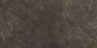 Montecoto Marron brillo 60x120