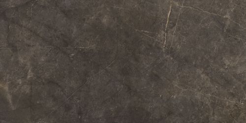 Montecoto Marron brillo 60x120