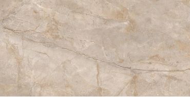 Monterial Taupe Matt 80х160