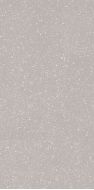 Moondust Silver Mat 59.8x119.8