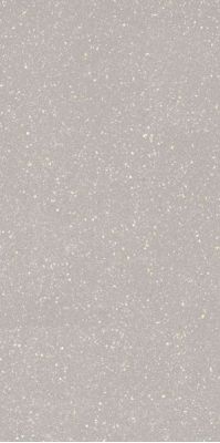 Moondust Silver Mat 59.8x119.8