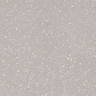 Moondust Silver Mat 59.8x59.8