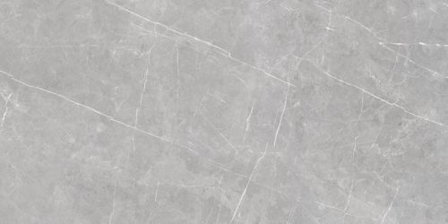Murano Gray Semi Polished Rectified 59.7x119.8
