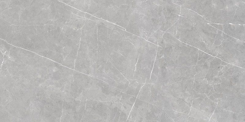 Murano Gray Semi Polished Rectified 59.7x119.8