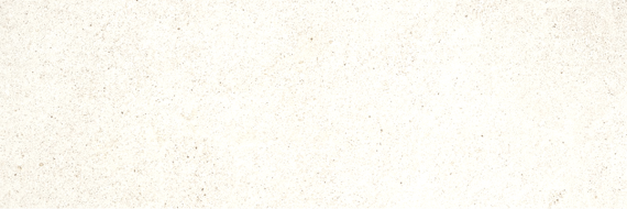 Muse White rect 40x120