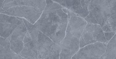 Mystic Grey PGVT 60x120